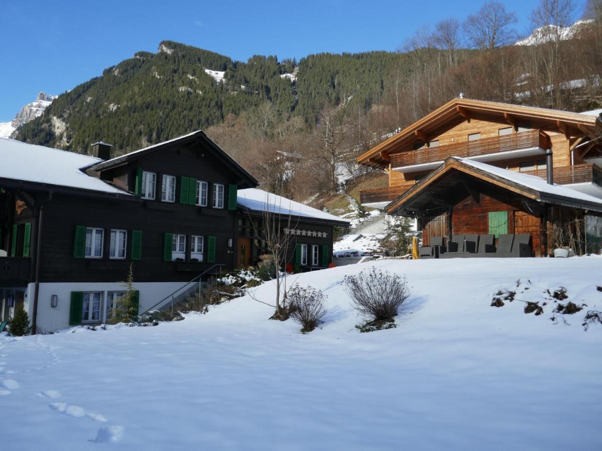Apartment Chalet Schwendihus-6 By Interhome Grindelwald Dış mekan fotoğraf