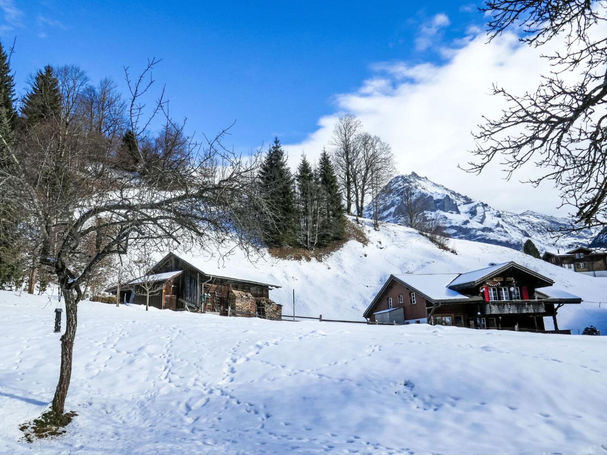 Apartment Chalet Schwendihus-6 By Interhome Grindelwald Dış mekan fotoğraf